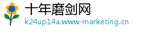十年磨剑网
